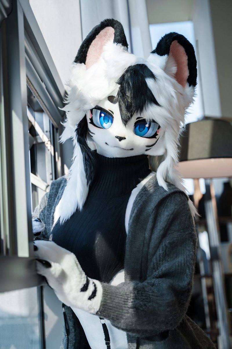레호Rehoレホ tweet media