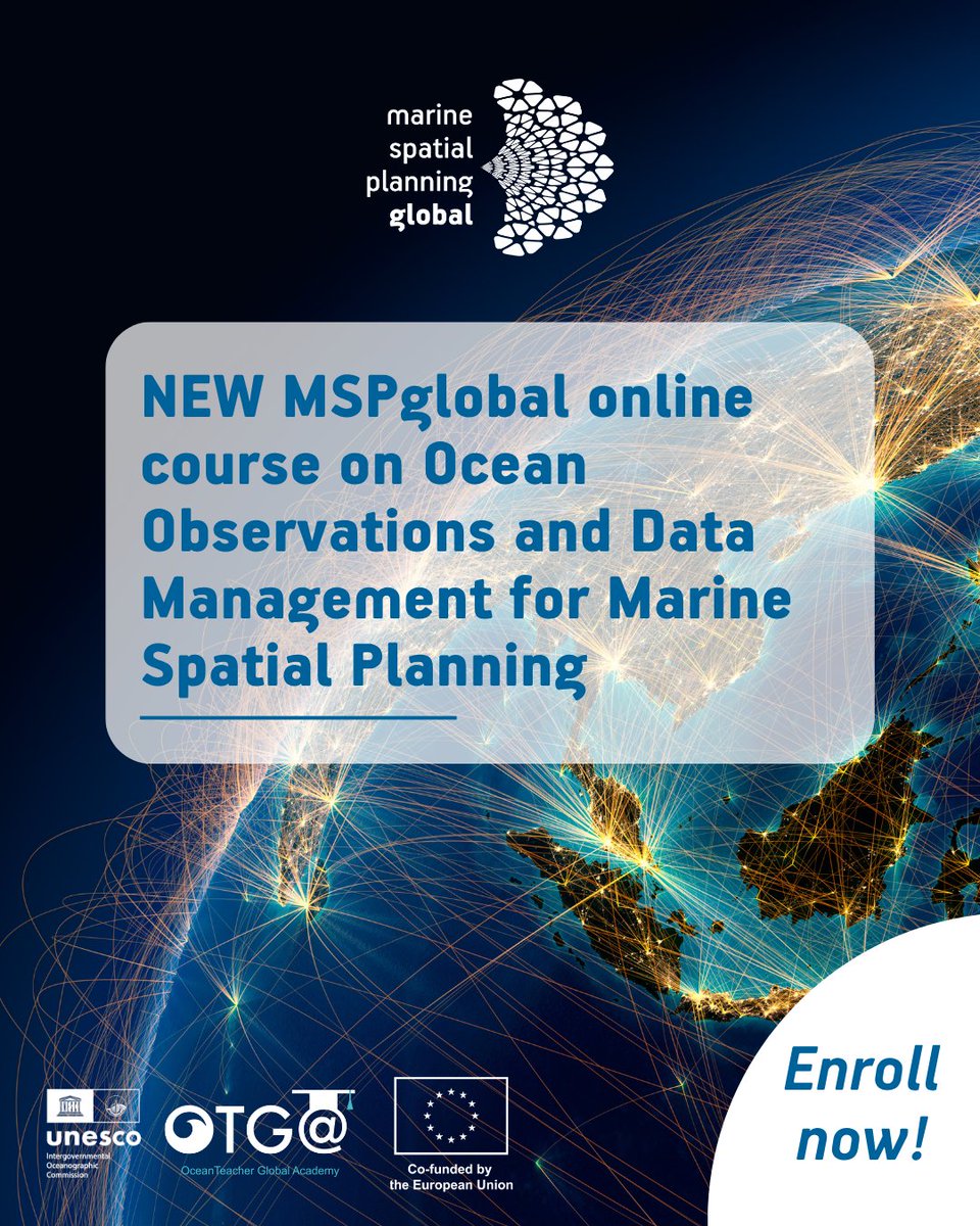 MSPglobal tweet media