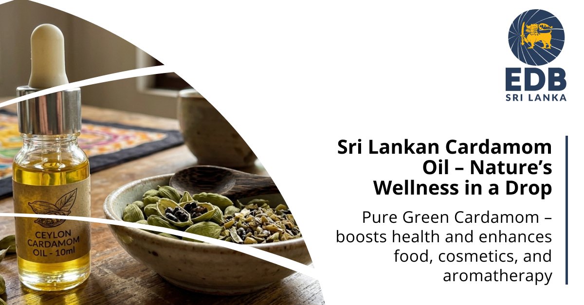 EDB_SriLanka's tweet image. Pure, Potent, and Naturally Sri Lankan bit.ly/4sP5Jdo
 Sri Lanka delivers high-quality essential oils, combining natural richness with purity and global wellness appeal💧🌍
#EssentialOils #NaturalWellness #SriLankaExports #Aromatherapy