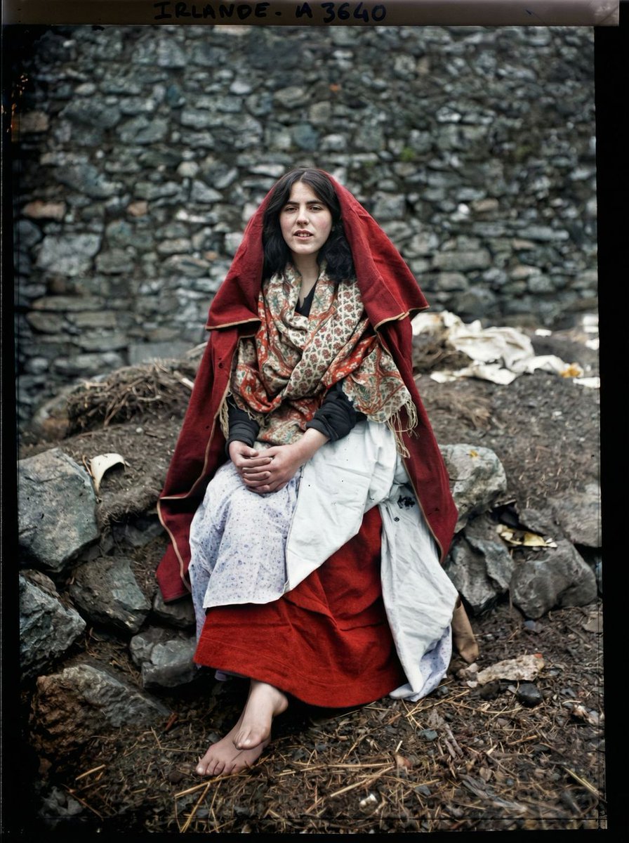 Timeless Colours tweet media