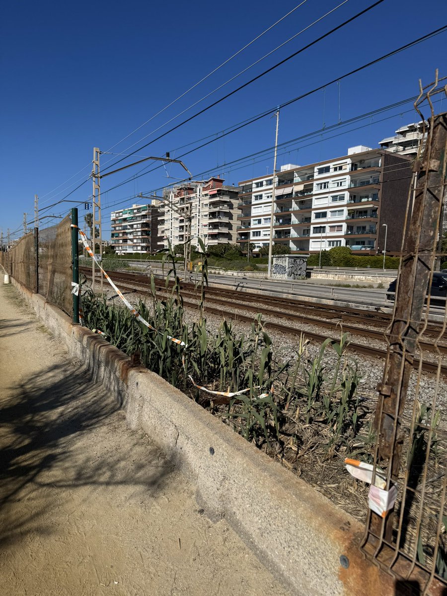 Vicent Sanz Arnau 🎗 tweet media