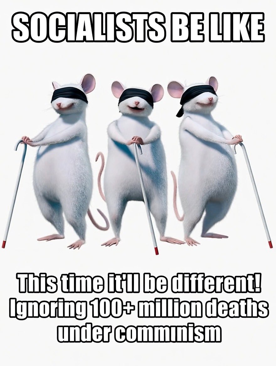 HotSotin 🇫🇮🇺🇦🇪🇺△ tweet media