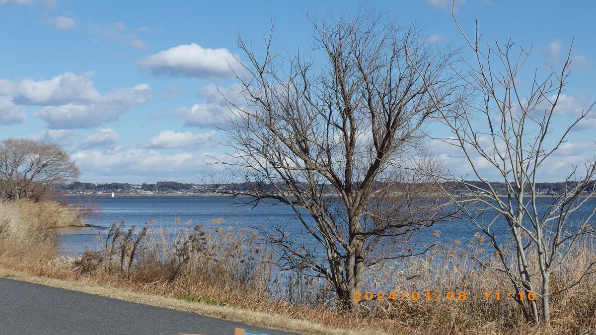 辺境を往く一兵卒 tweet media