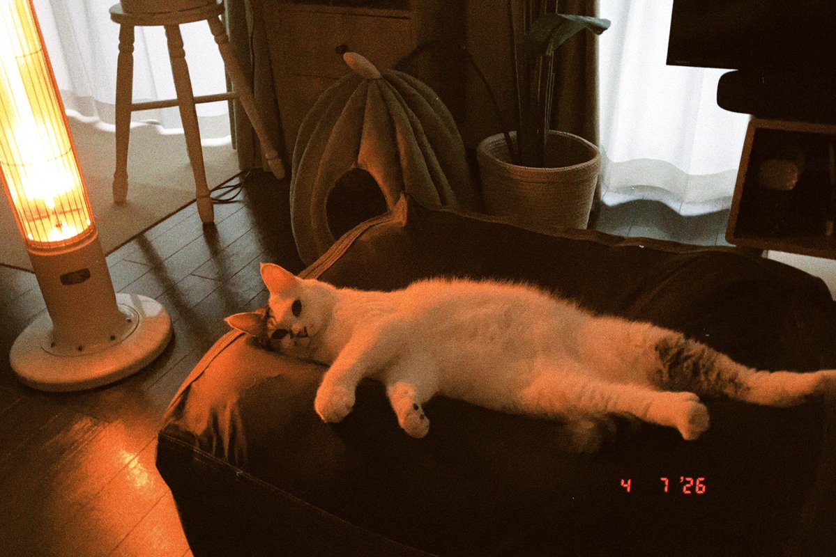 スズキアユミ｜4/11フォントさんぽステーション出展 tweet media