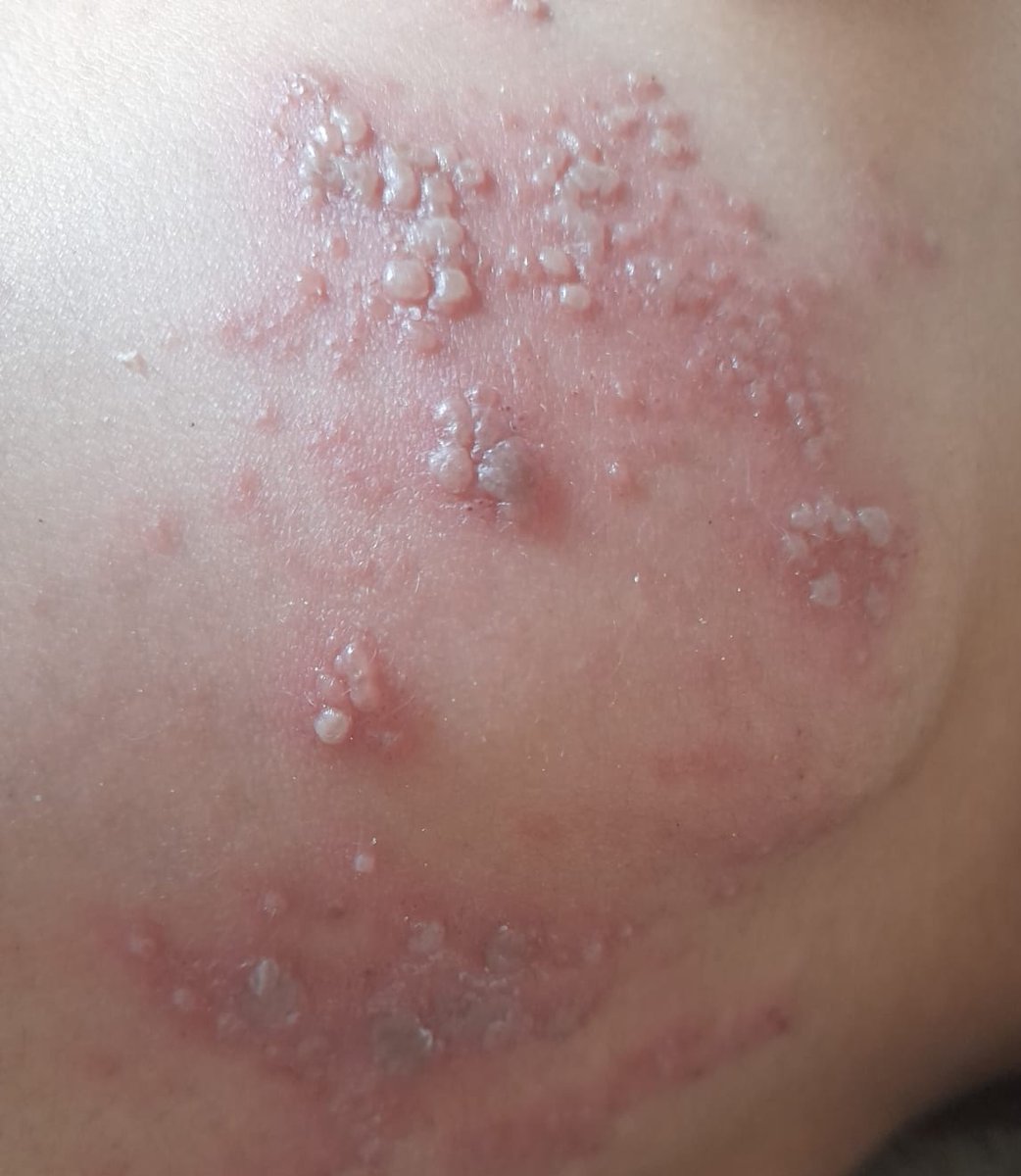 Iman Iman tweet media