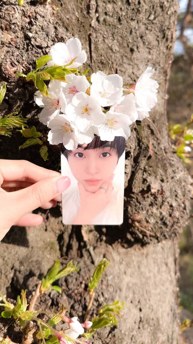 녹색광선 tweet media