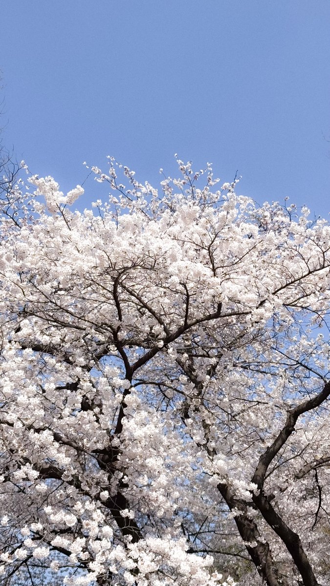 녹색광선 tweet media