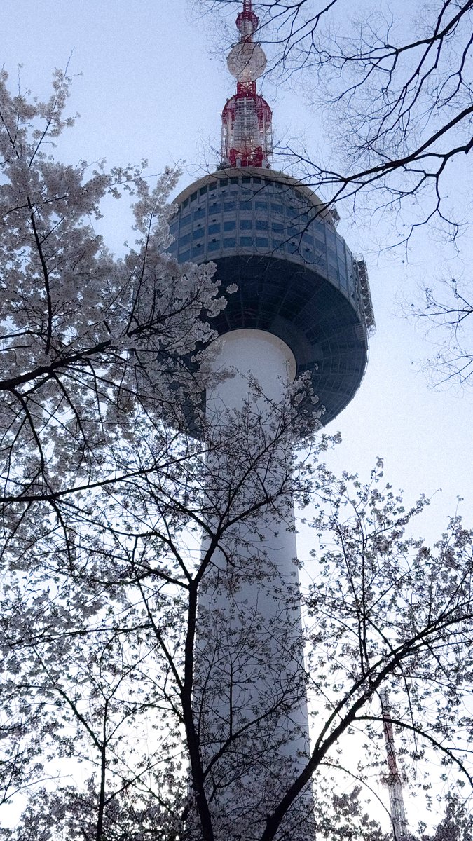 녹색광선 tweet media