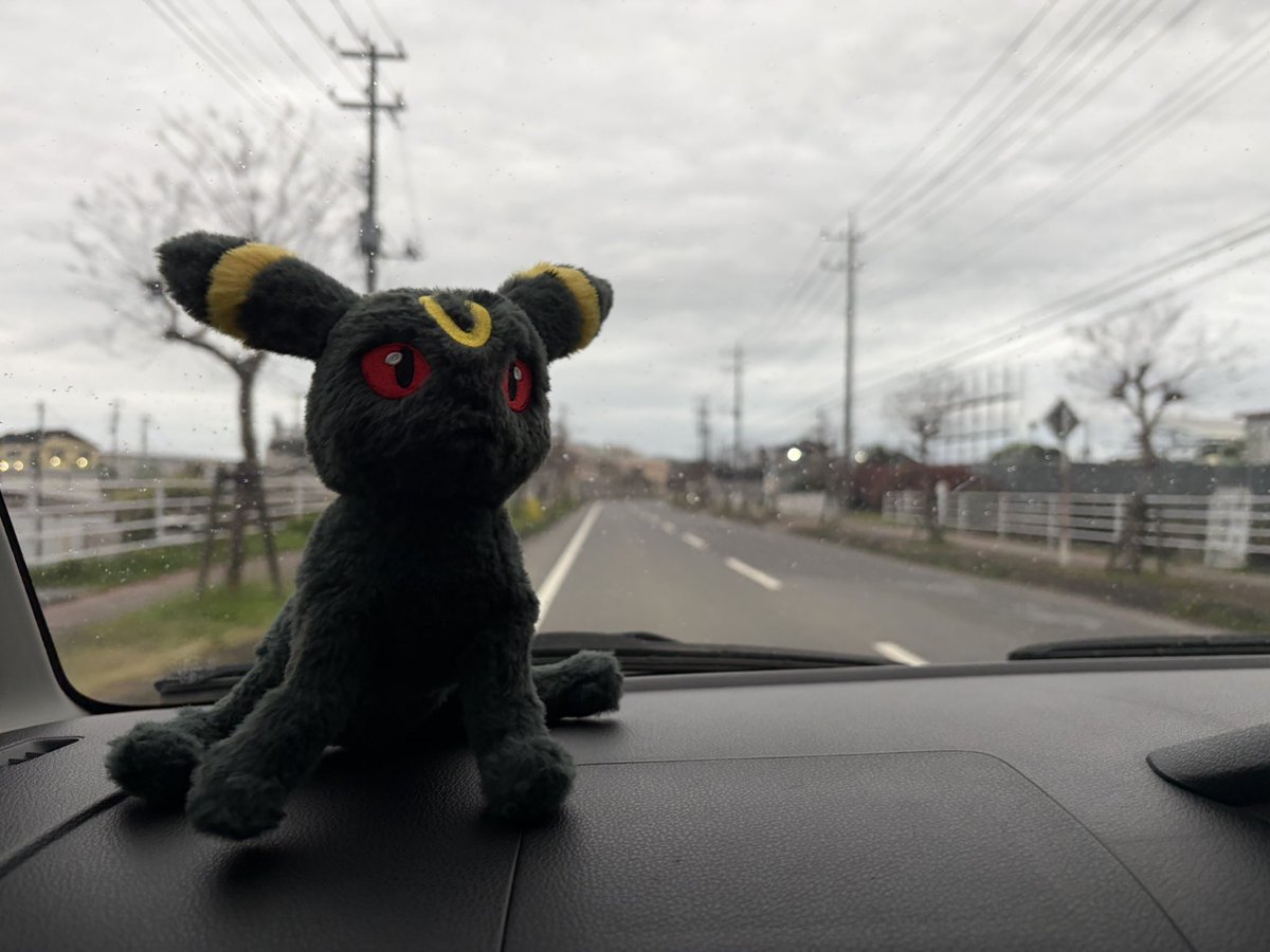 トッパー隊長 tweet media