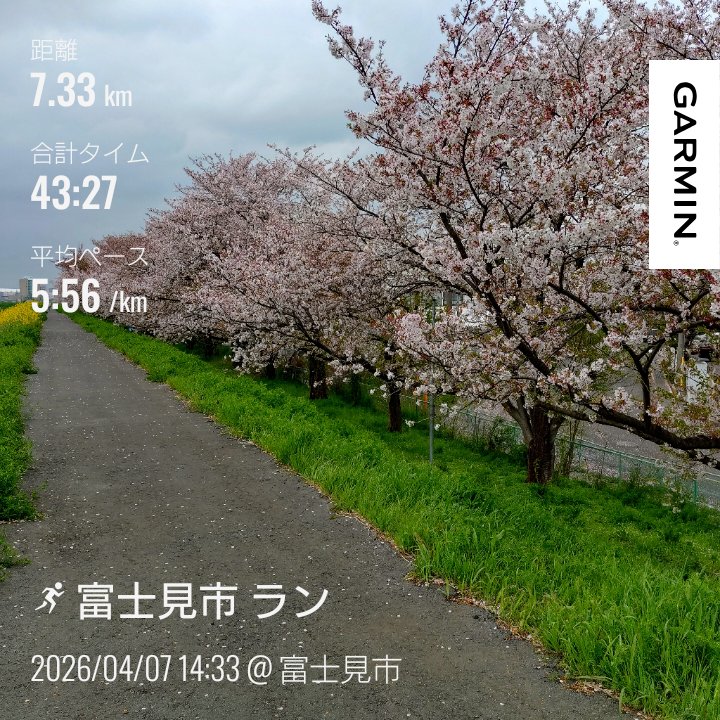 KikuzoooMakoto's tweet photo. 7キロスロージョグ+4キロウォーク。
桜はもう終わりかな。
#ランニング
#スロージョグ
#新河岸川
#桜
#足道楽プラスららぽーと富士見店
#topoathletic https://t.co/YOaiGighjx