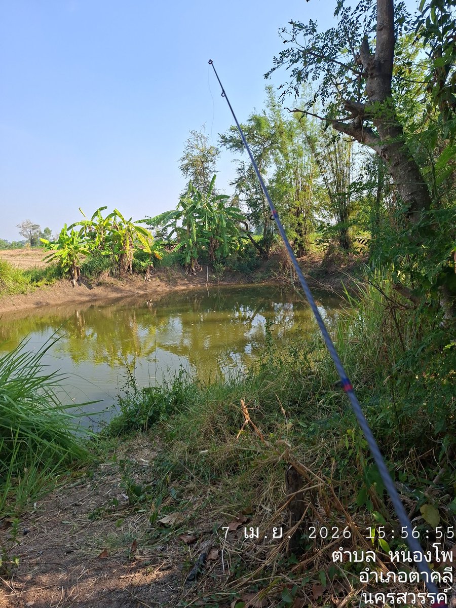 เบื่อตกปลาหลังบ้านแล้วง่าใครมีที่แนะนำมั้ยง่ะ🥺ชัยนาท-นครสวรรค์หนองโพตาคลีหางน้ำมโนรมย์หัวหวายทักได้น้า🥹