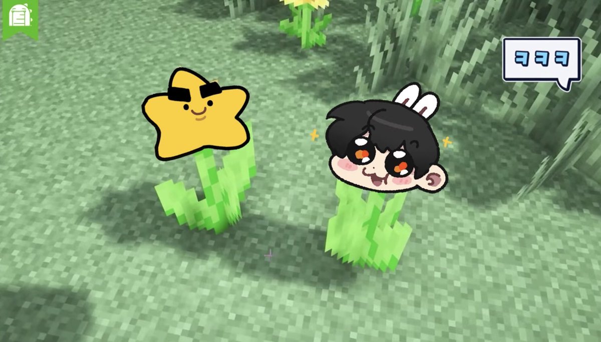 룡이보쌈 tweet media