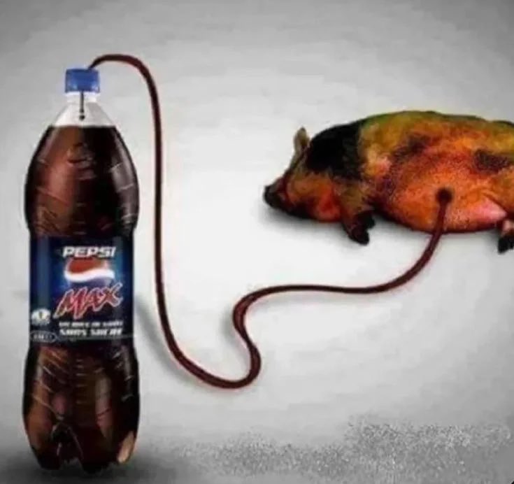 Chudberos the Red Woke🦈 tweet media