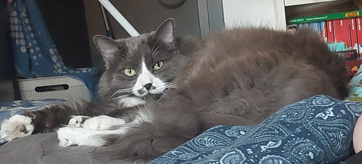 thank you everyone for wishing my sweet boy a happy birthday 🫶💚