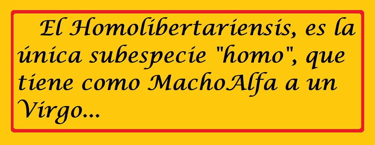 RobeR ReboR tweet media