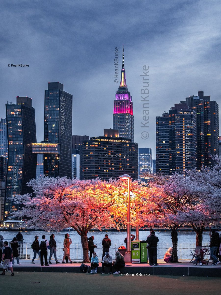 BahahaMalik's tweet photo. New York City, USA 🇺🇸 https://t.co/UwIomigoRM