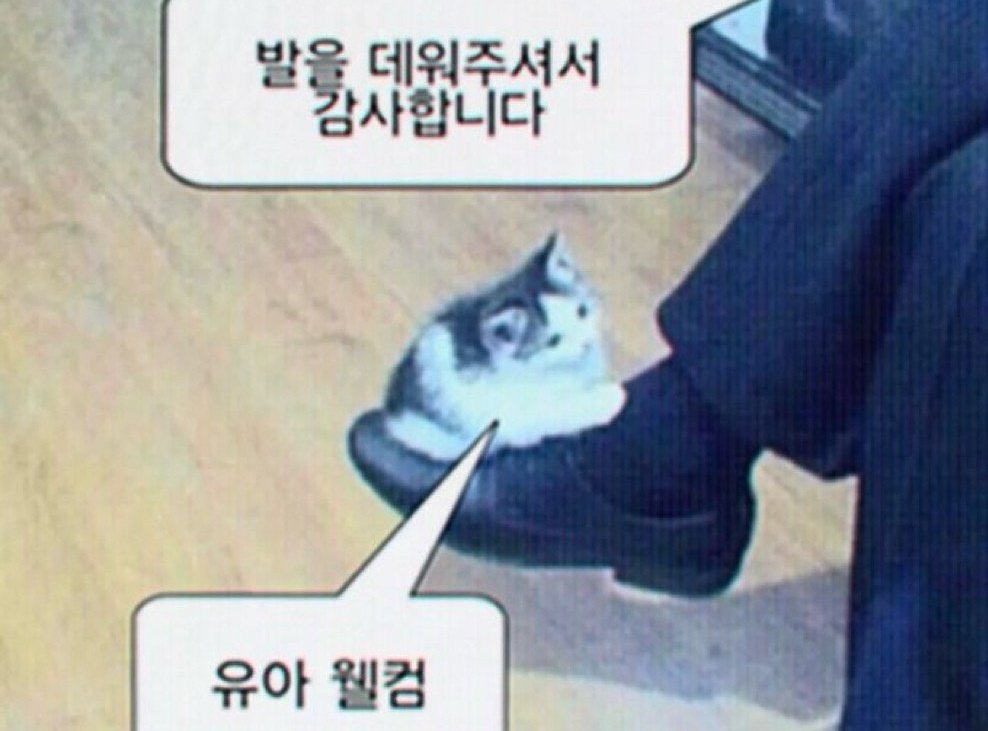 cravasity tweet media