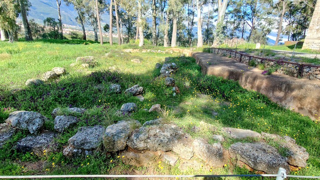 ふたば tweet media