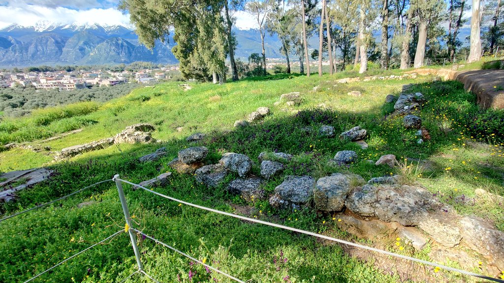 ふたば tweet media