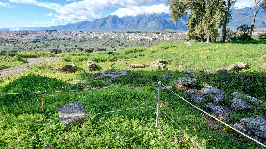 ふたば tweet media