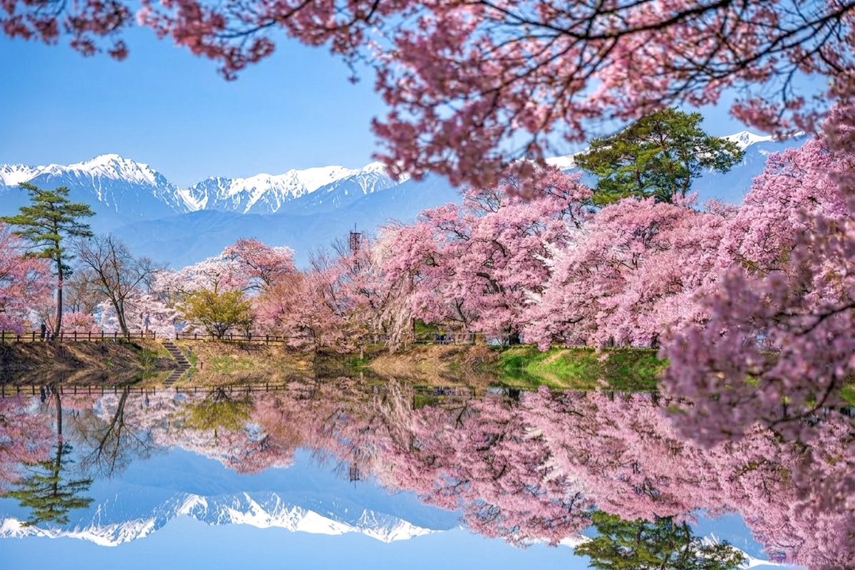 supremeさんの写真部屋 tweet media