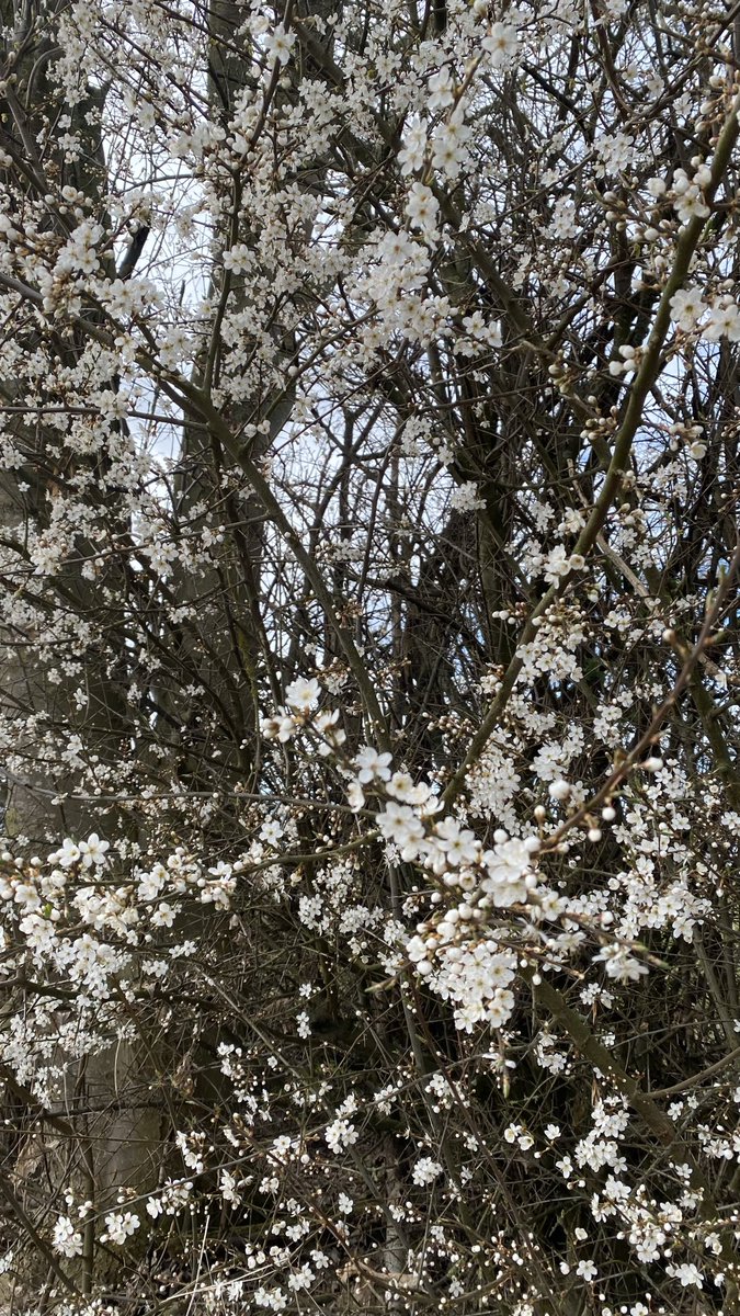 Her şey için sonsuz şükür 🙏🏻