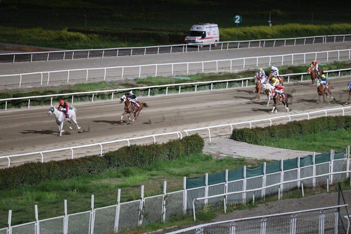 Şanlıurfa Büyükşehir 🇹🇷 tweet media