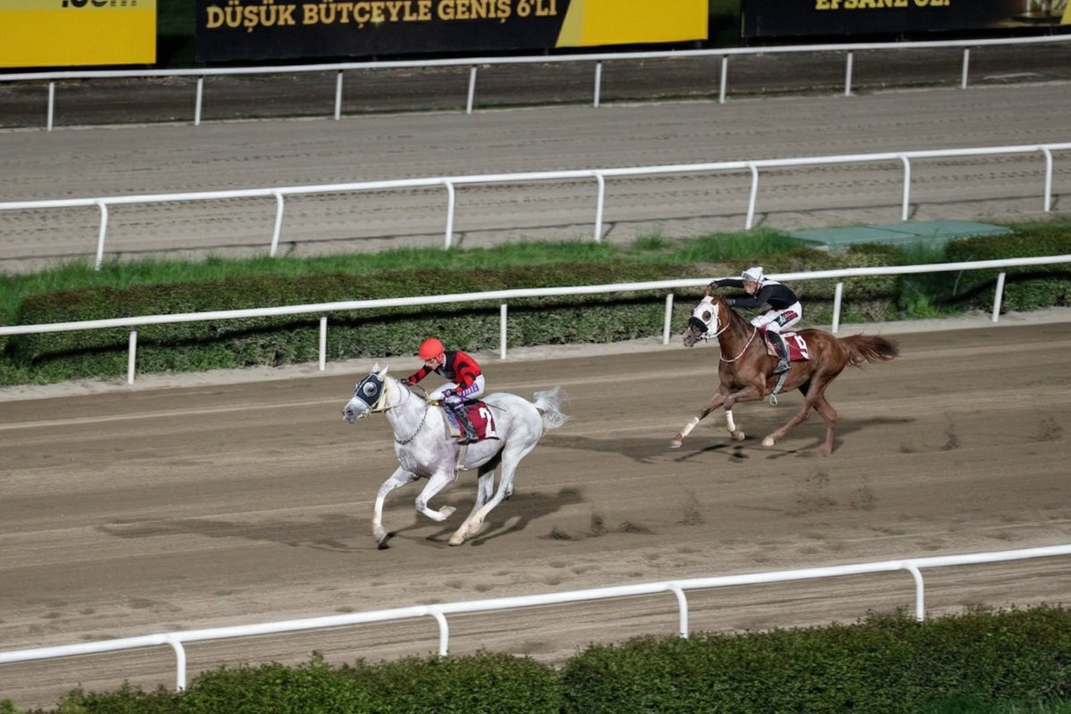 Şanlıurfa Büyükşehir 🇹🇷 tweet media