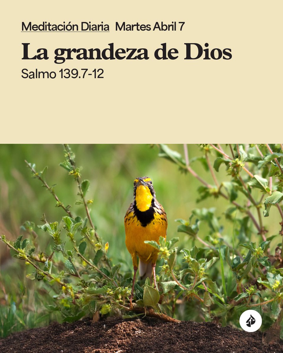 Encontacto's tweet photo. Dios es infinito, eterno e inmutable: ¡podemos confiar en Él!

https://t.co/fMJO1oktzm https://t.co/MQFmOe3uGP
