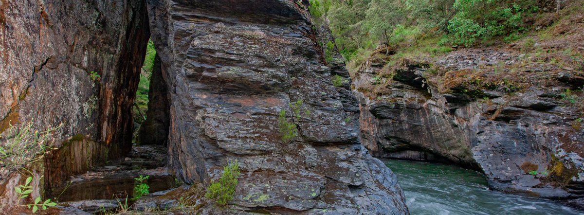 Turismo Castilla y León tweet media