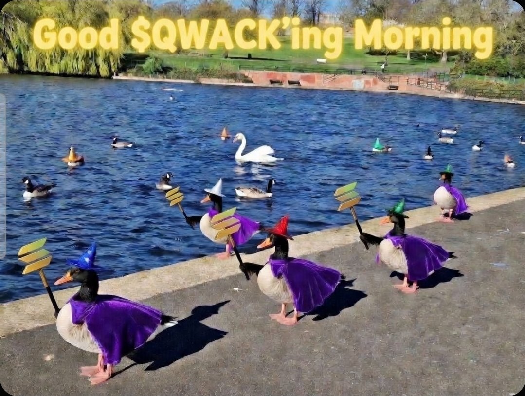 sliqstar's tweet photo. Good $QWACK'ing Morning ☕️☕️🦆🦆

$SOL #SOLANA

Aih5Mn9S7hophn9FbNSX98EiejeM3e7rggTRaCxfrge

https://t.co/eydW0ZD6jS https://t.co/bmdFgAb3Vd