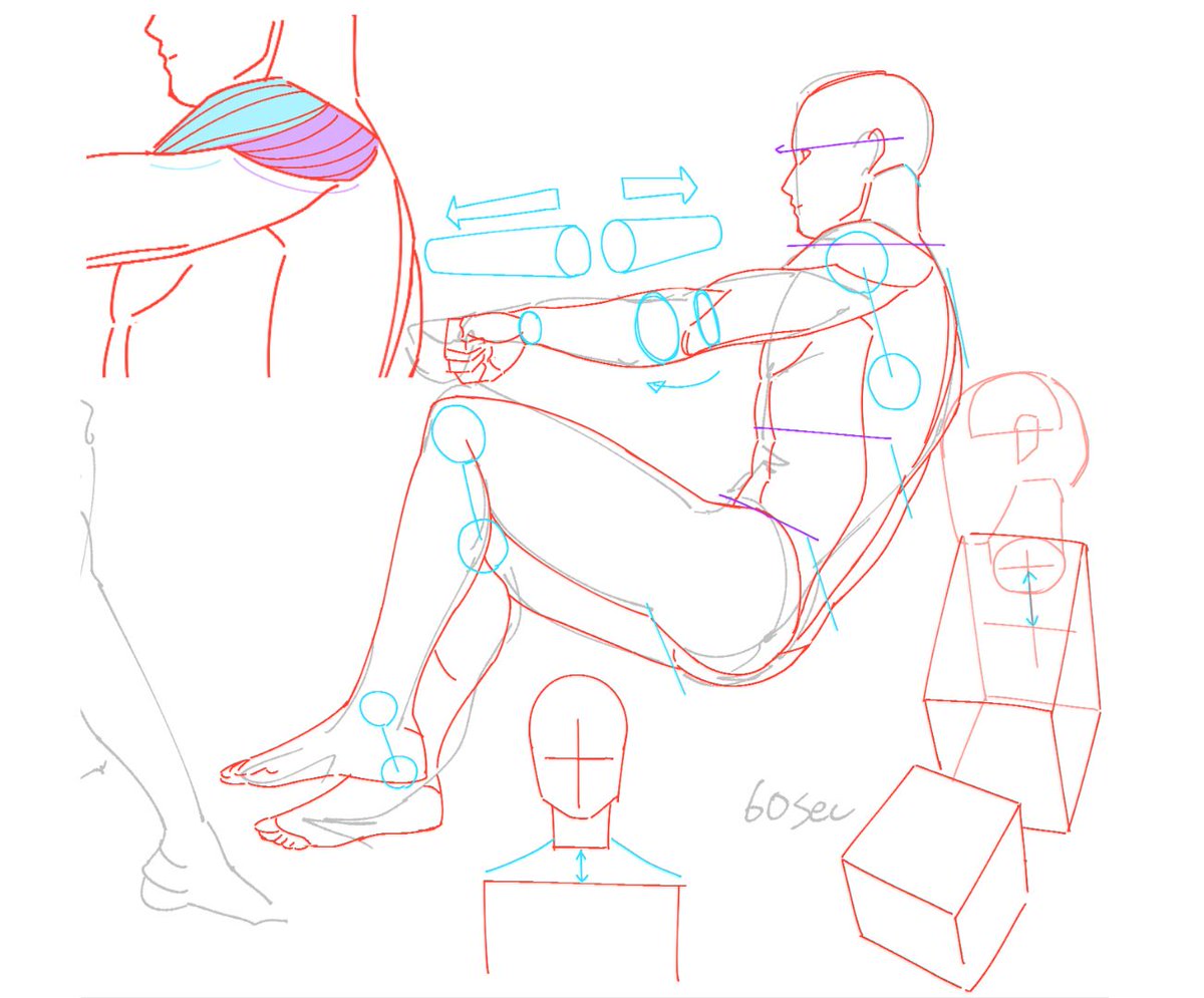 posemaniacs's tweet image. 人体が苦手な人は、人体構造の自己分析をしてみましょう

腕や胸郭を「円柱」や「立方体」に見立てて、ねじれの有無やパースを分析したり、脚や腕がどのように胴体に接続しているかを考察したりすることで、人体構造が頭に入ってきます。