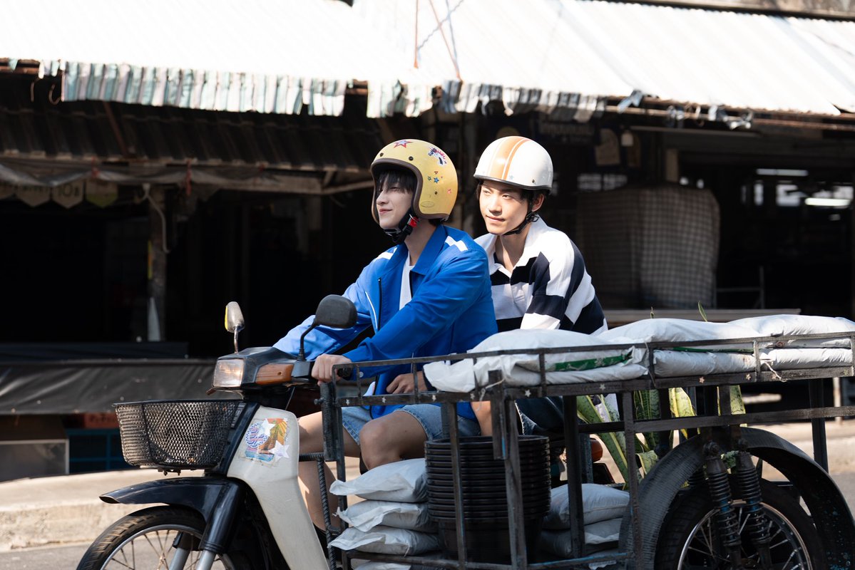 When Oranges Fall 🍊 tweet media