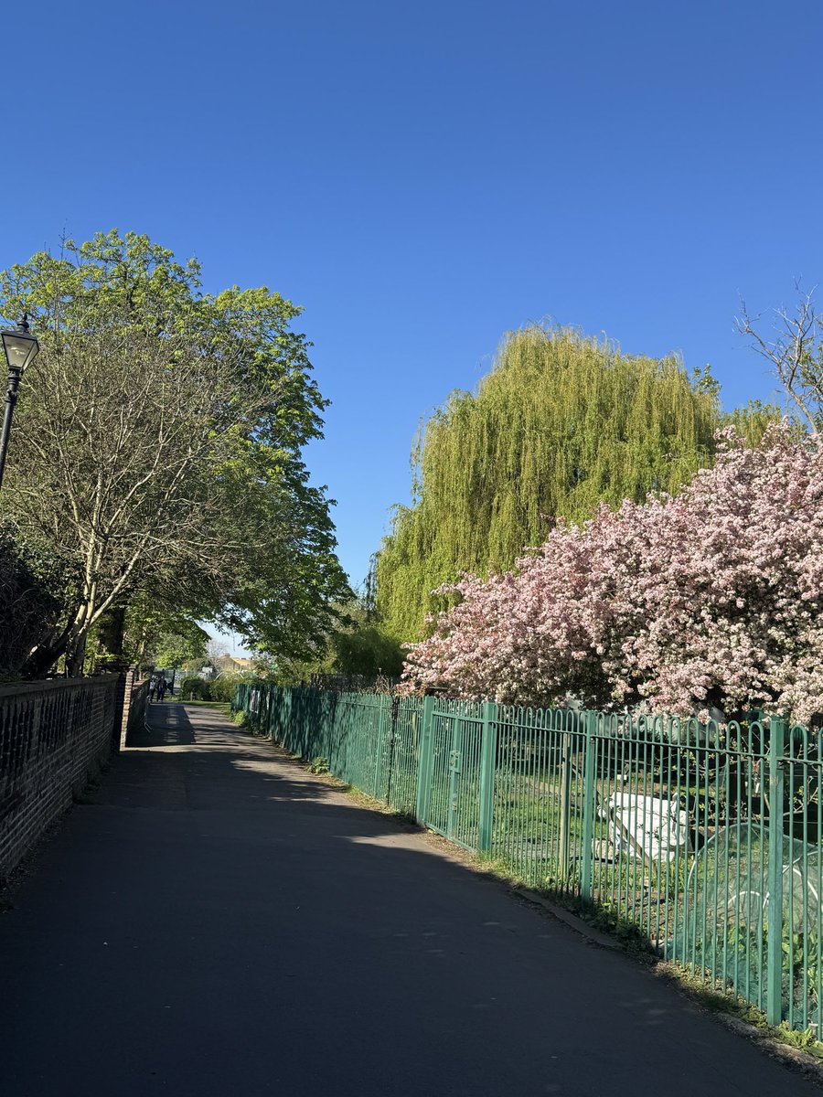 RolyPoly tweet media