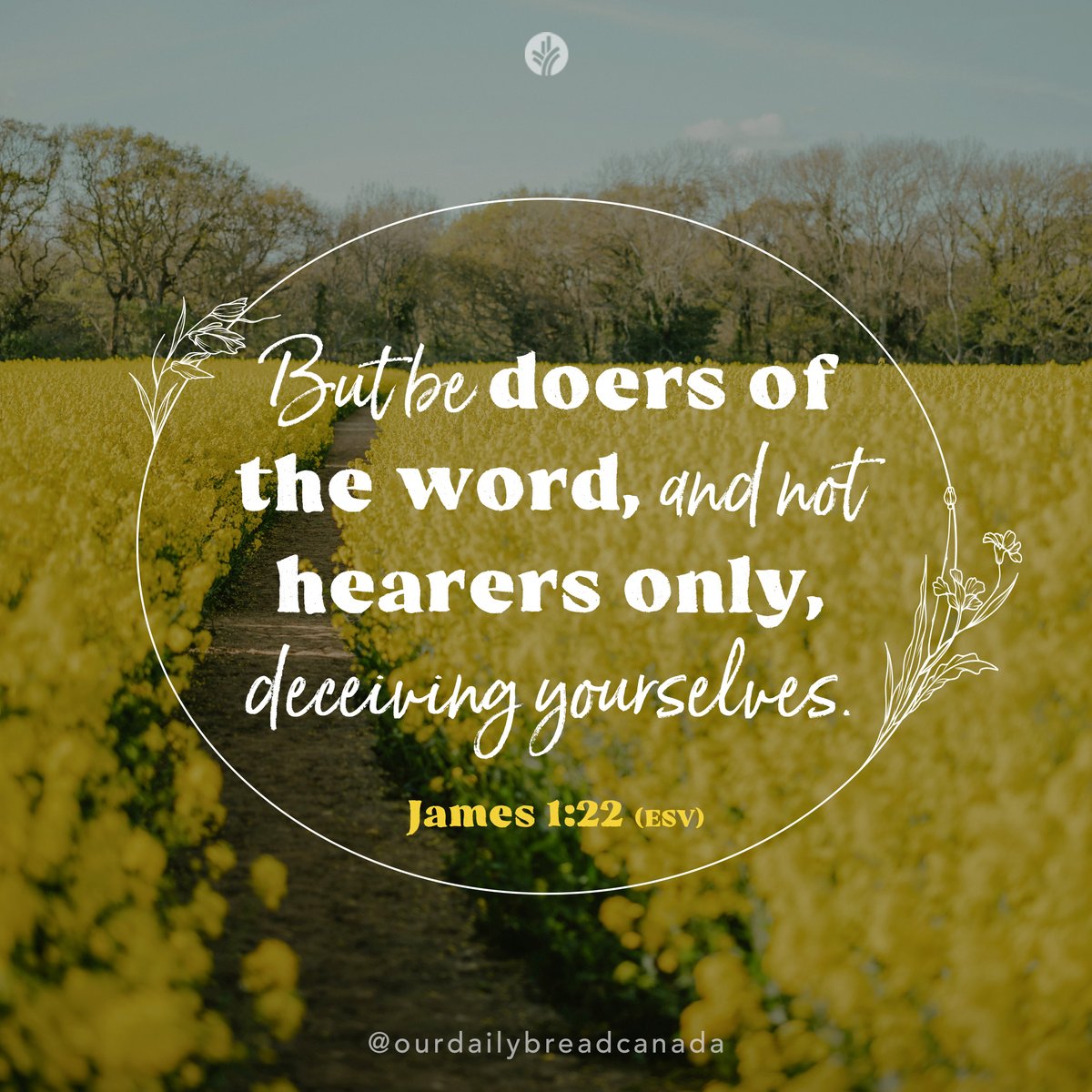 Our Daily Bread Canada tweet media