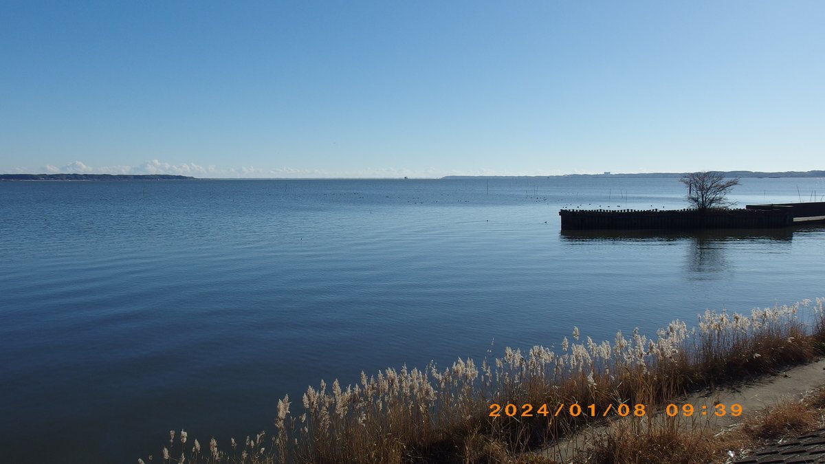 辺境を往く一兵卒 tweet media