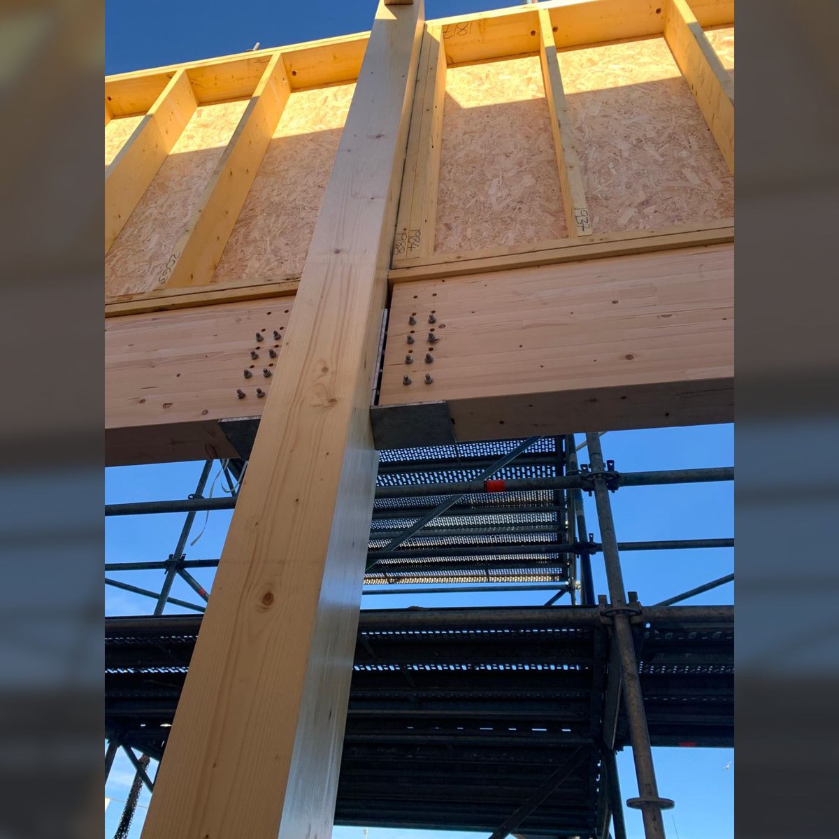 Fleming Timber Structures (@FlemingTimber) / Posts / X