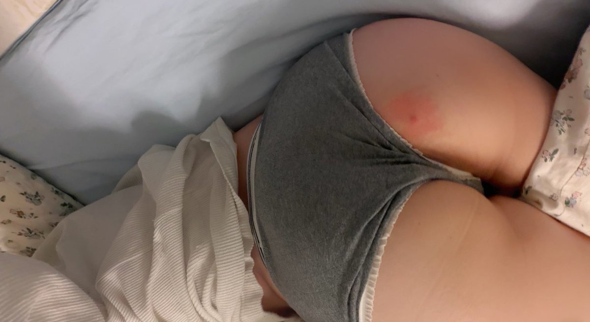 番茄不炒蛋 tweet media