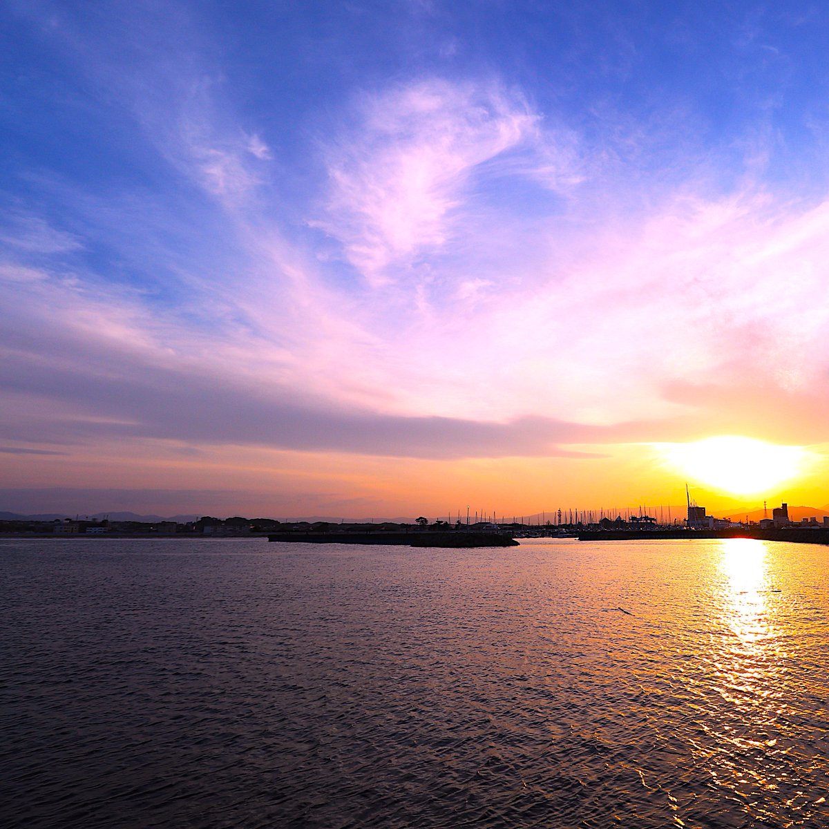 粂治郎 ❤︎ 皆様に感謝🍀 tweet media