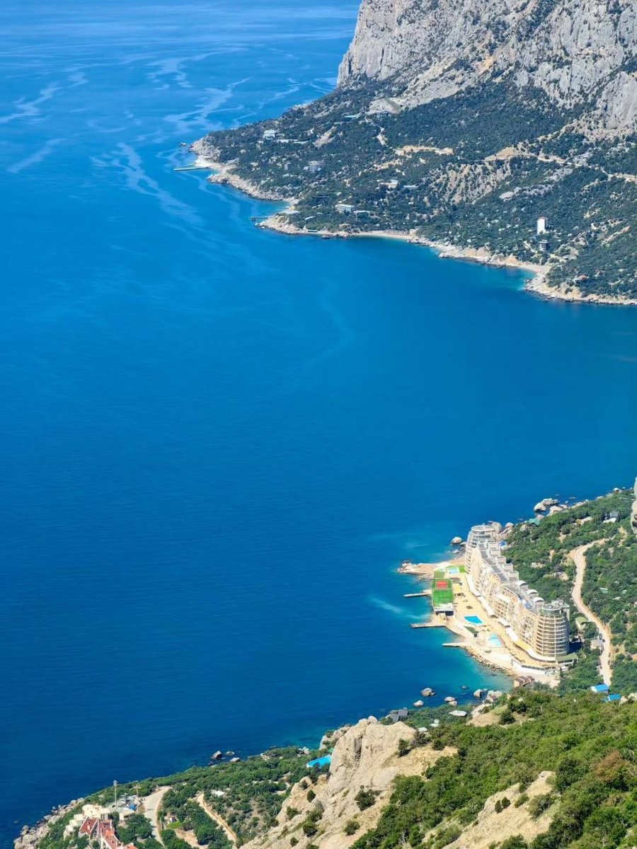 temsu_walling tweet media