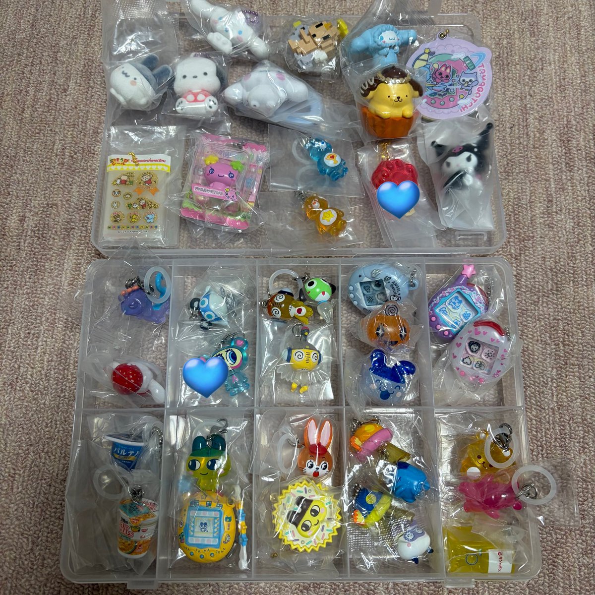 ぽんず。 tweet media