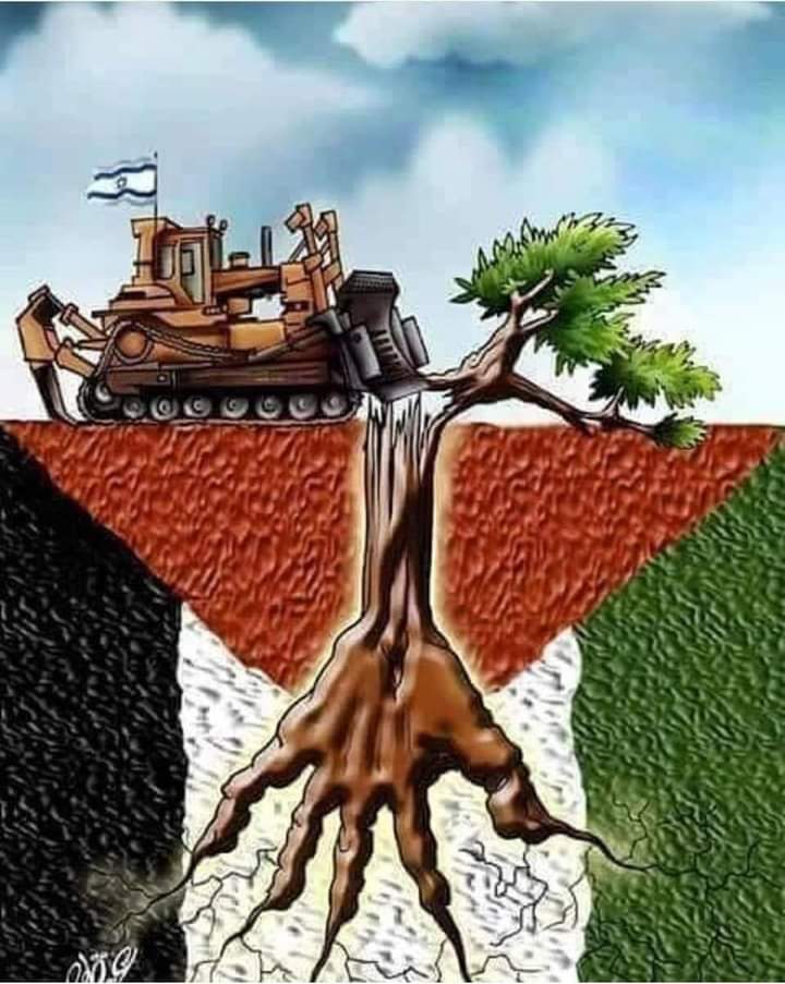 River Sea tweet media