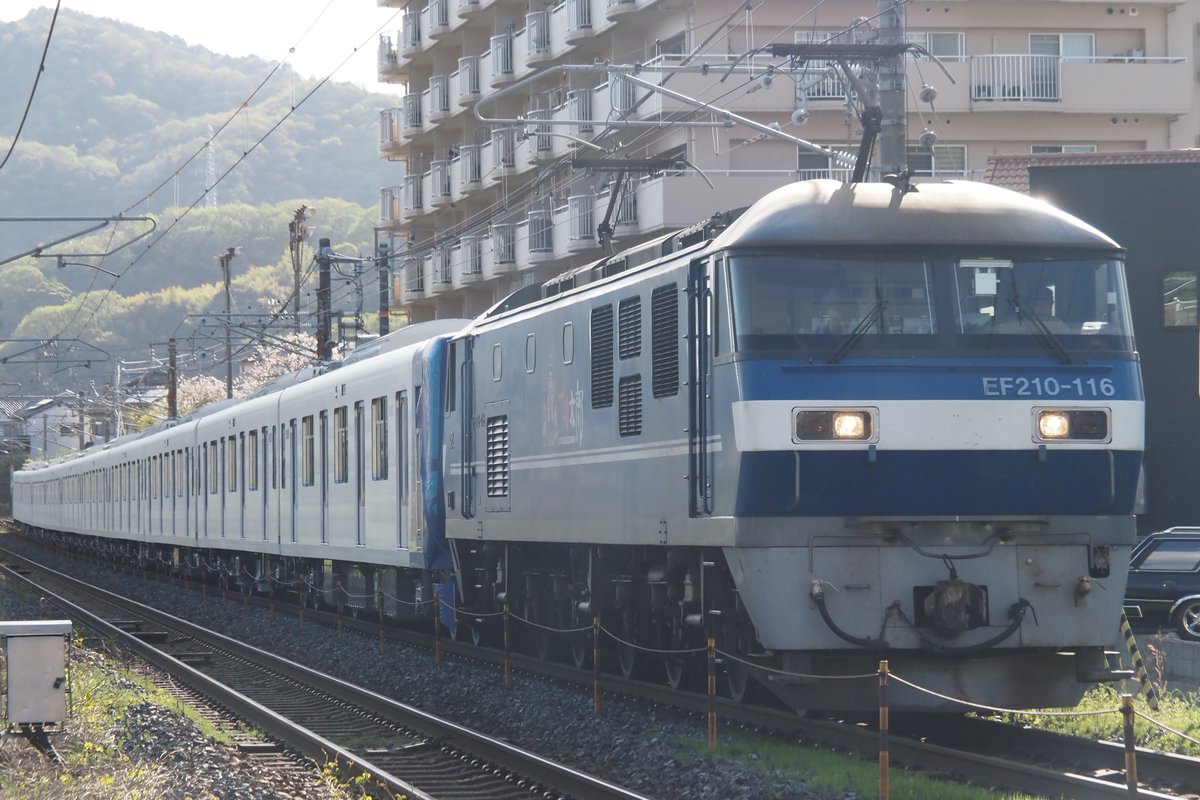 ともくん tweet media