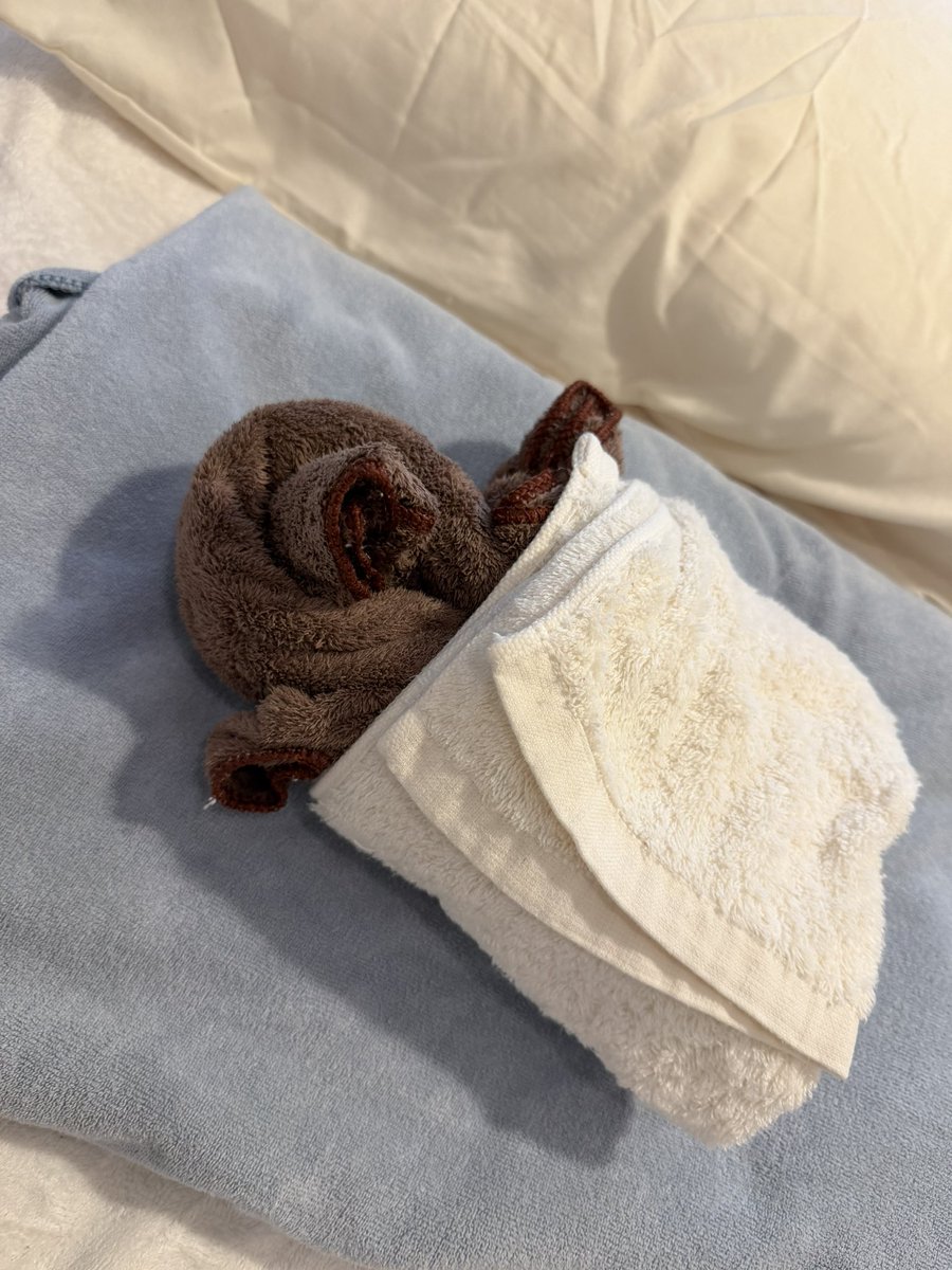 Sofia personal body care ✦横浜桜木町 tweet media