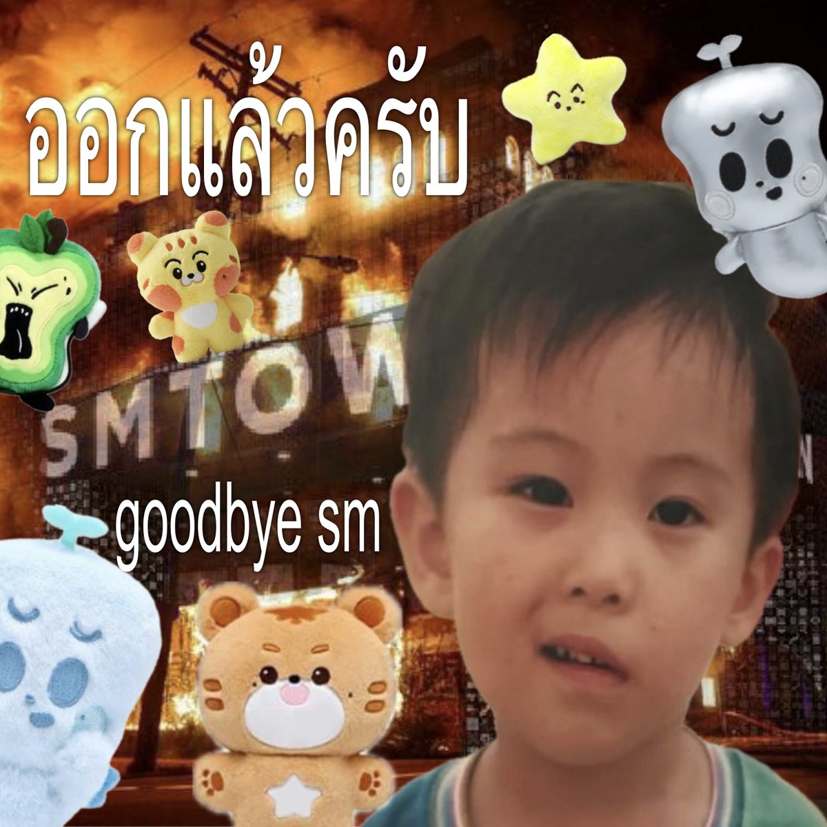 mer , cms dm tweet media