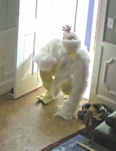 Mizzraeli Defence Force tweet media