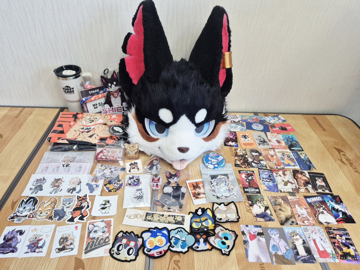 밥차 ( BOBCHA / ボプチャ / 博布查 )🐶🇰🇷 tweet media