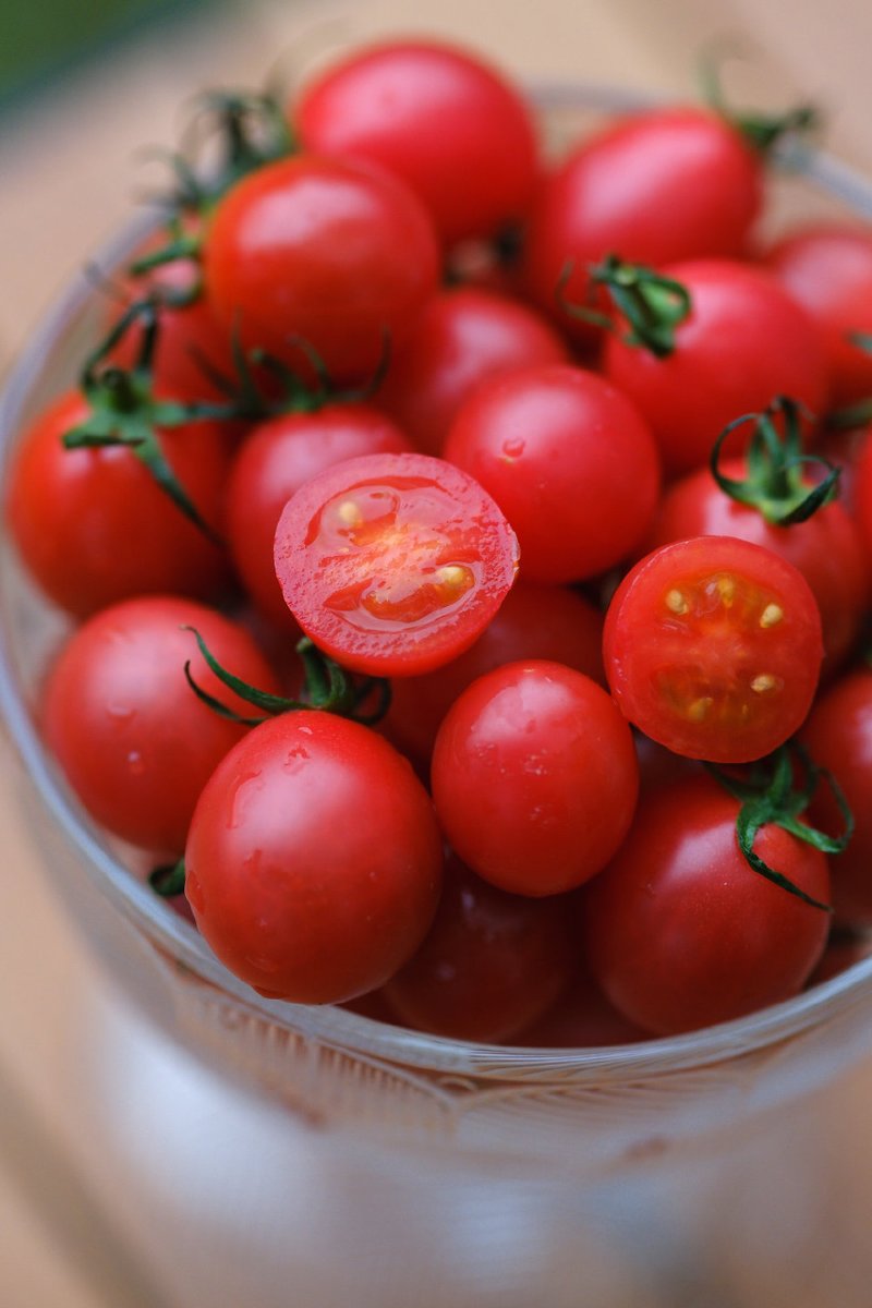 sanchini tweet media