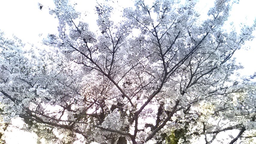 🍀 𝒾S𝐭 🍀 tweet media