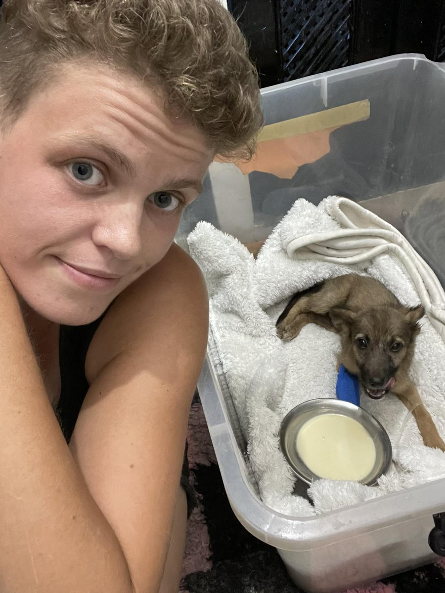 Animal SOS Sri Lanka tweet media